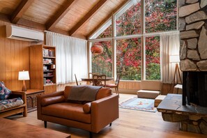 Fireplace, books, music library