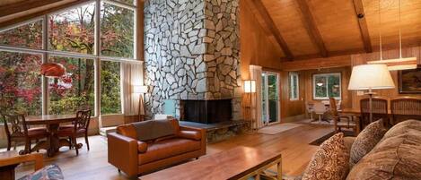 Fireplace, books, music library