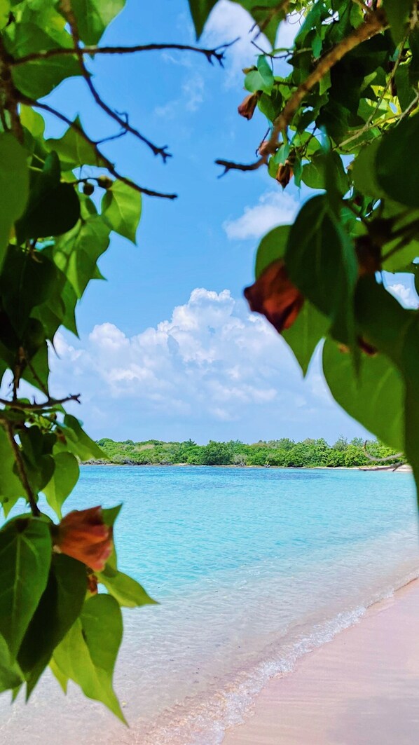 Playa en los alrededores 