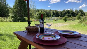 Un tavolo da picnic apparecchiato all'aperto con una bottiglia di vino, due bicchieri e piatti colorati, con vista su un prato e alberi.