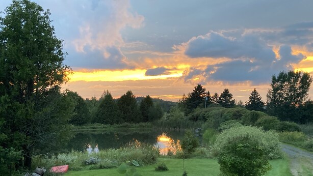 Un paesaggio sereno con uno stagno, vegetazione rigogliosa e un tramonto sullo sfondo.