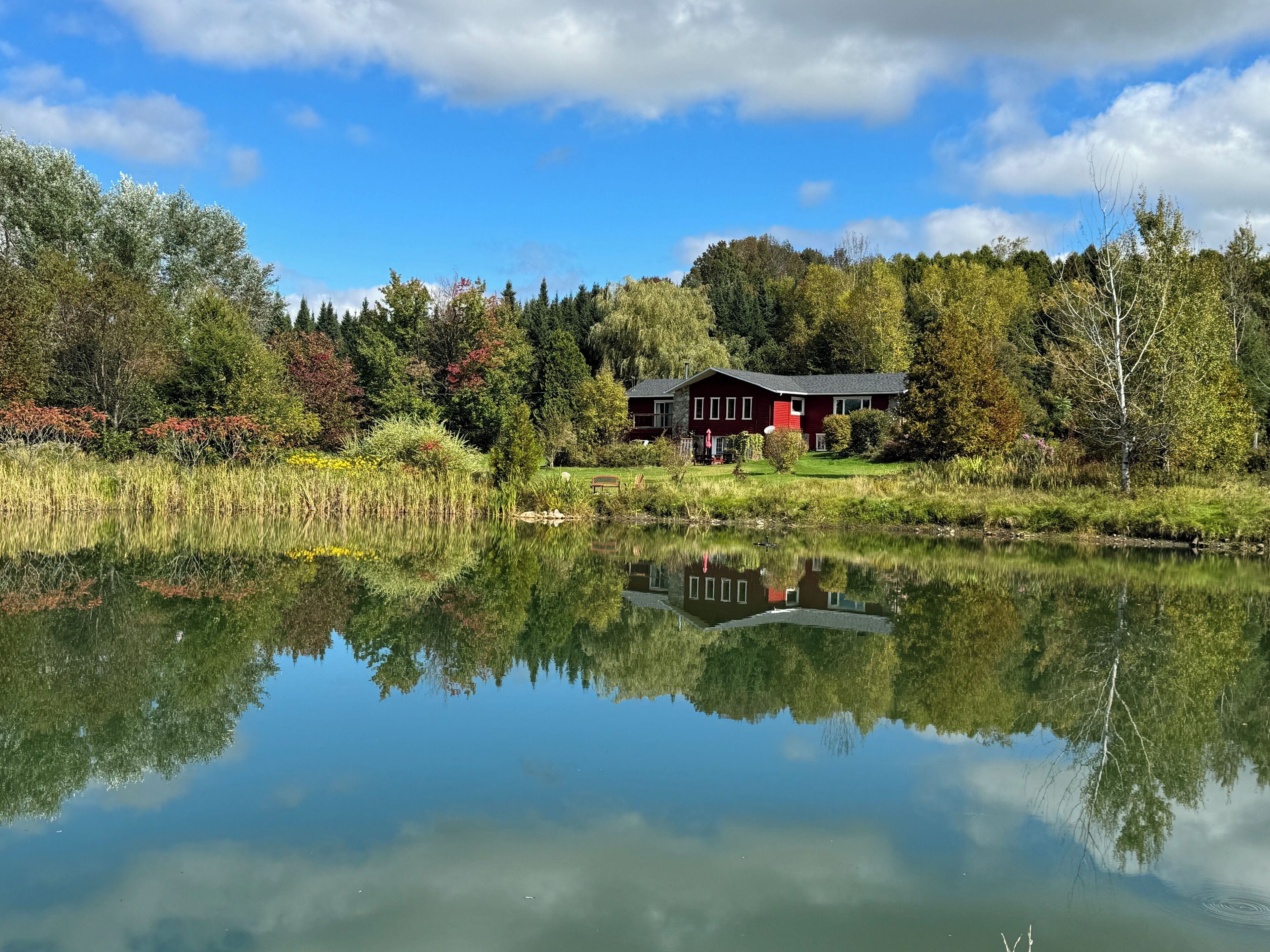 A house by a calm lake with a clear reflection, surrounded by lush greenery and trees.