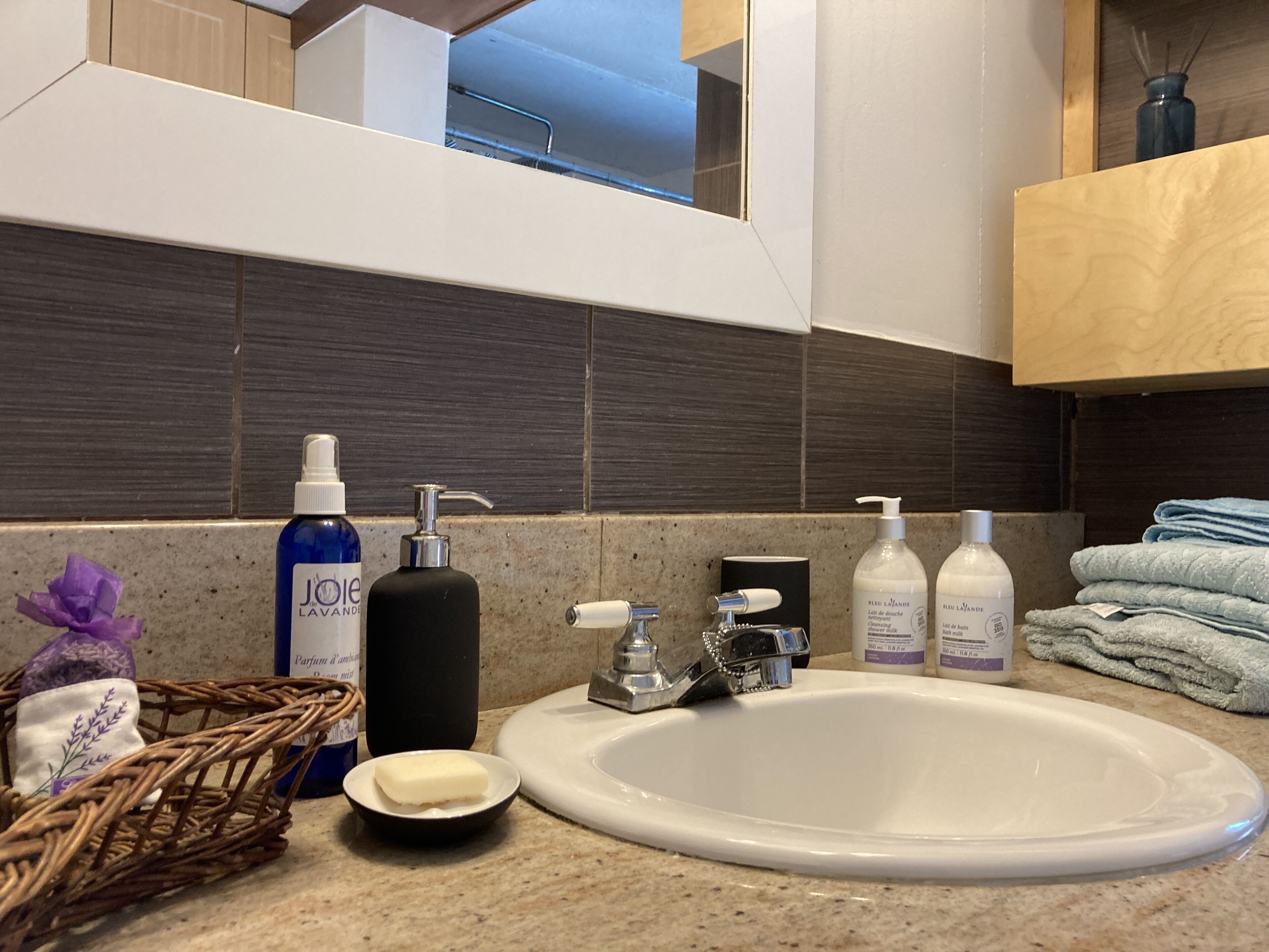 A bathroom with a white sink, a mirror, and toiletries including a soap dispenser, a bottle of lotion, and a bottle of shampoo.