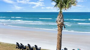 A beach with a palm tree and chairs facing the ocean.