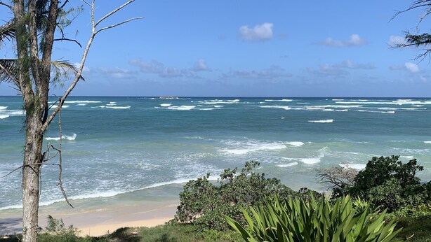 A coastal landscape with a clear sky, ocean waves, and a pathway leading to the beach.