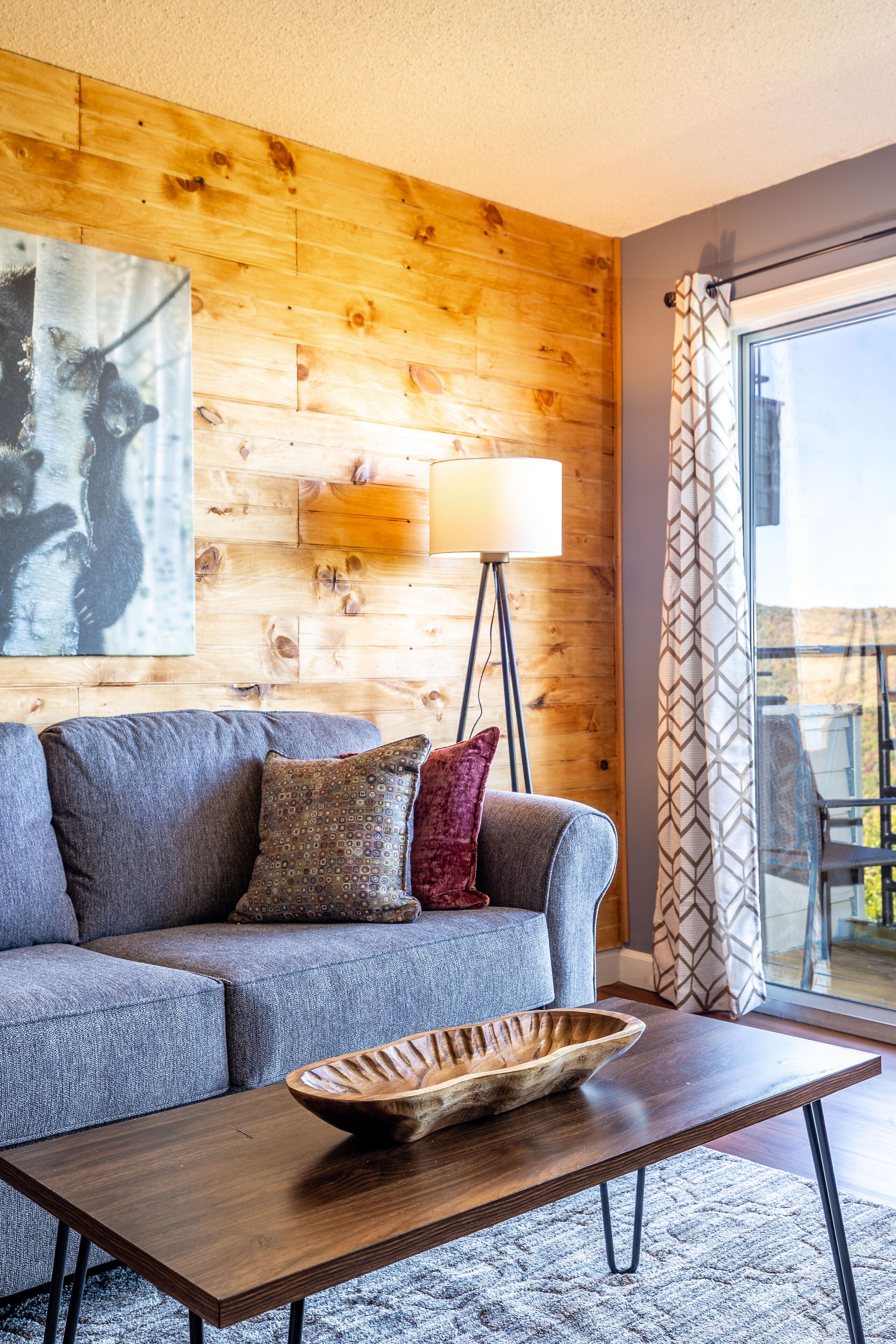 智能电视、壁炉