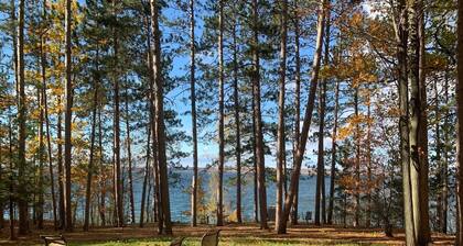 Cozy Hubbard Lake waterfront -beautiful views, private wooded lot, fireplace