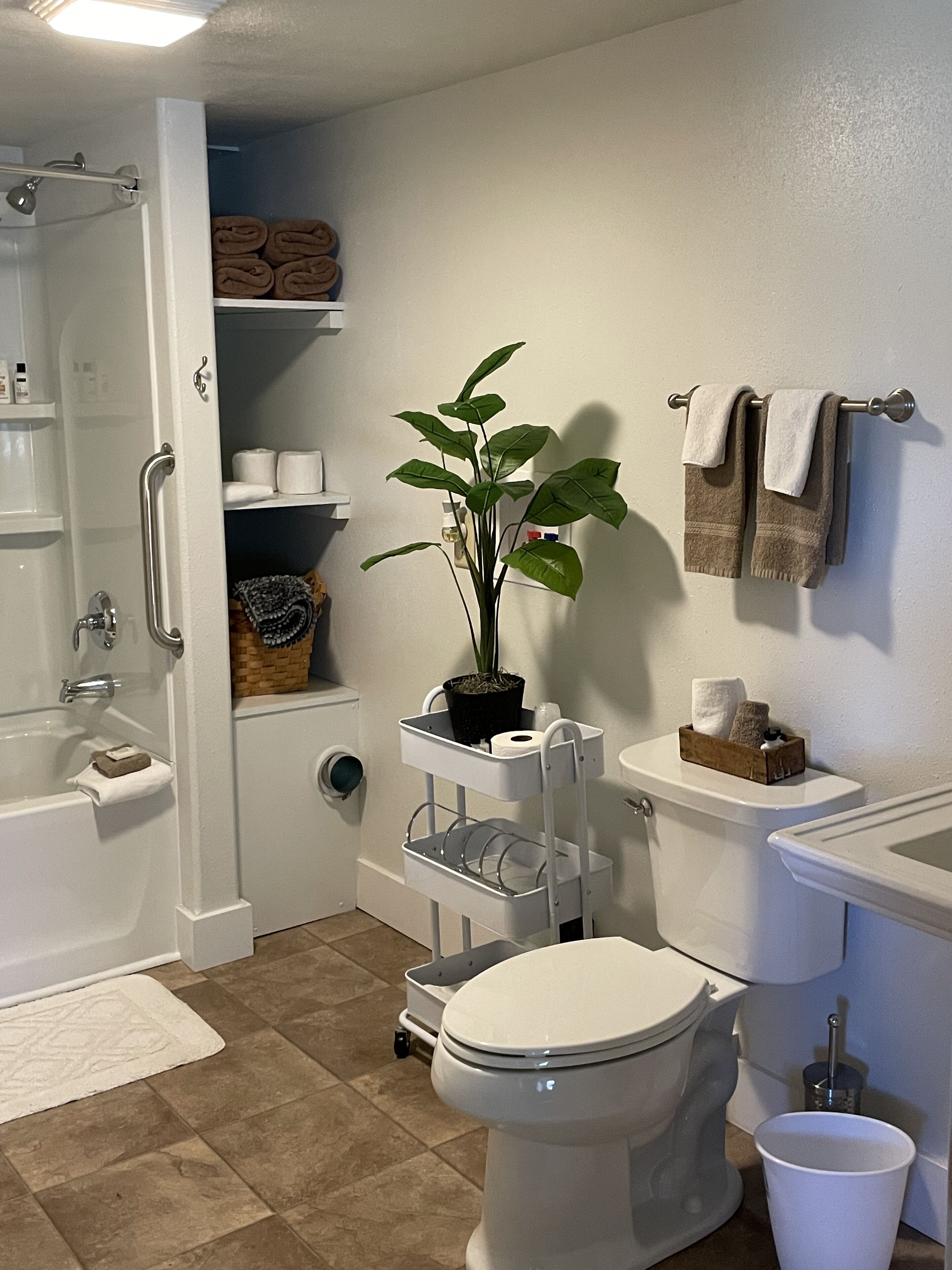 Bathtub, soap, toilet paper