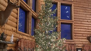 Interior de una cabaña de troncos con un gran árbol de Navidad, paredes de piedra y una decoración rústica.