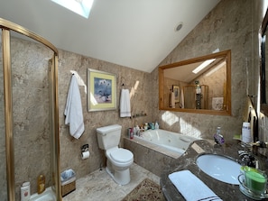 Bathtub, jetted tub, hair dryer, towels