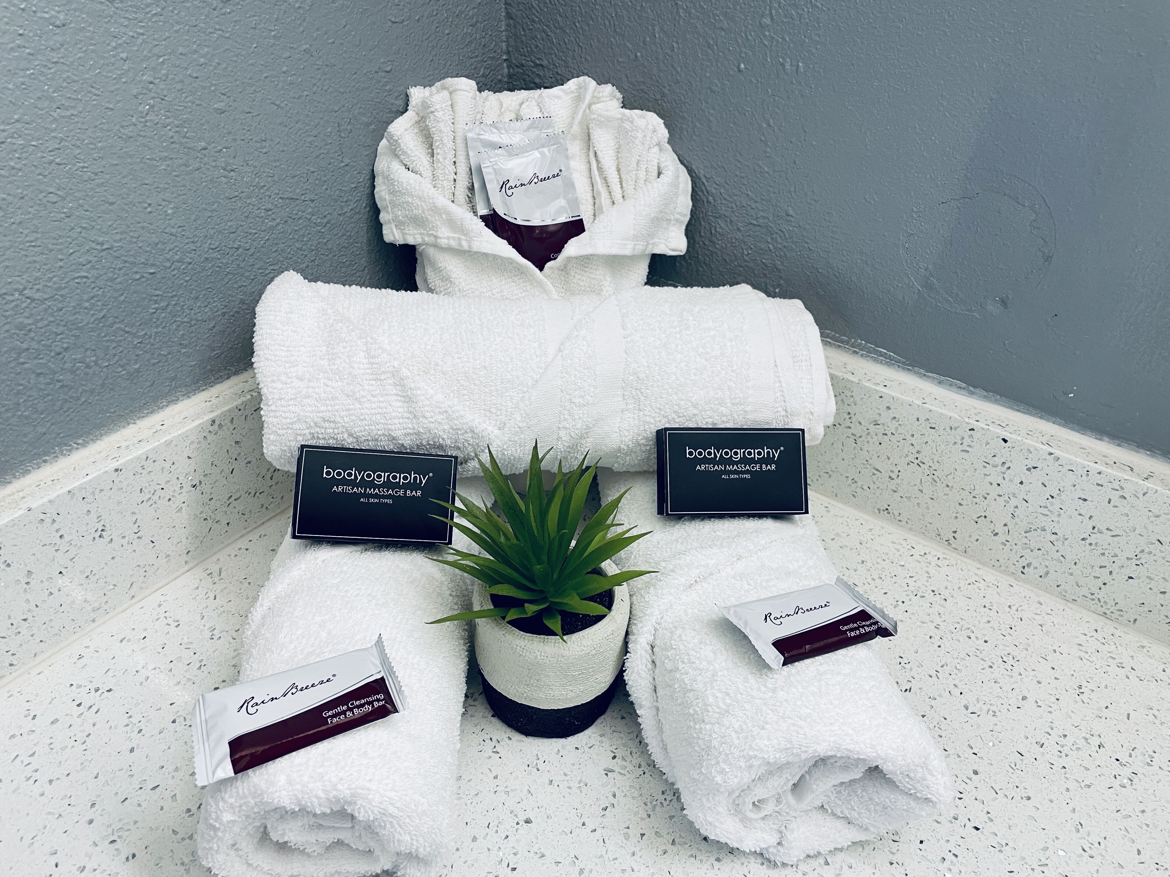 Duschwanne, kostenlose Toilettenartikel, Haartrockner, Handtücher