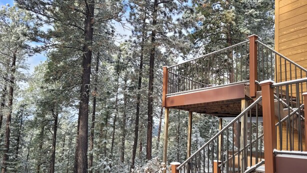 Una escalera de madera con barandas de metal que conduce a un edificio rodeado por un bosque nevado.