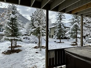 Paisatge nevós amb arbres i una casa.
