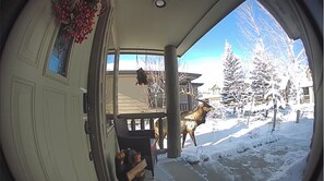 Enjoy the serene winter landscape from the comfort of this inviting home, where a majestic elk statue greets you from the porch.