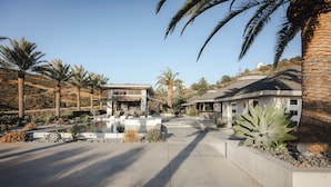 Un quartier résidentiel avec une piscine, des palmiers et des maisons.