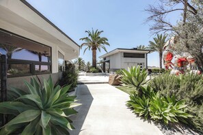 A modern house with a concrete pathway, palm trees, and various green plants.