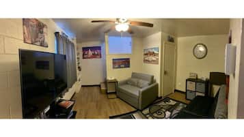 Smart TV, fireplace, DVD player, books