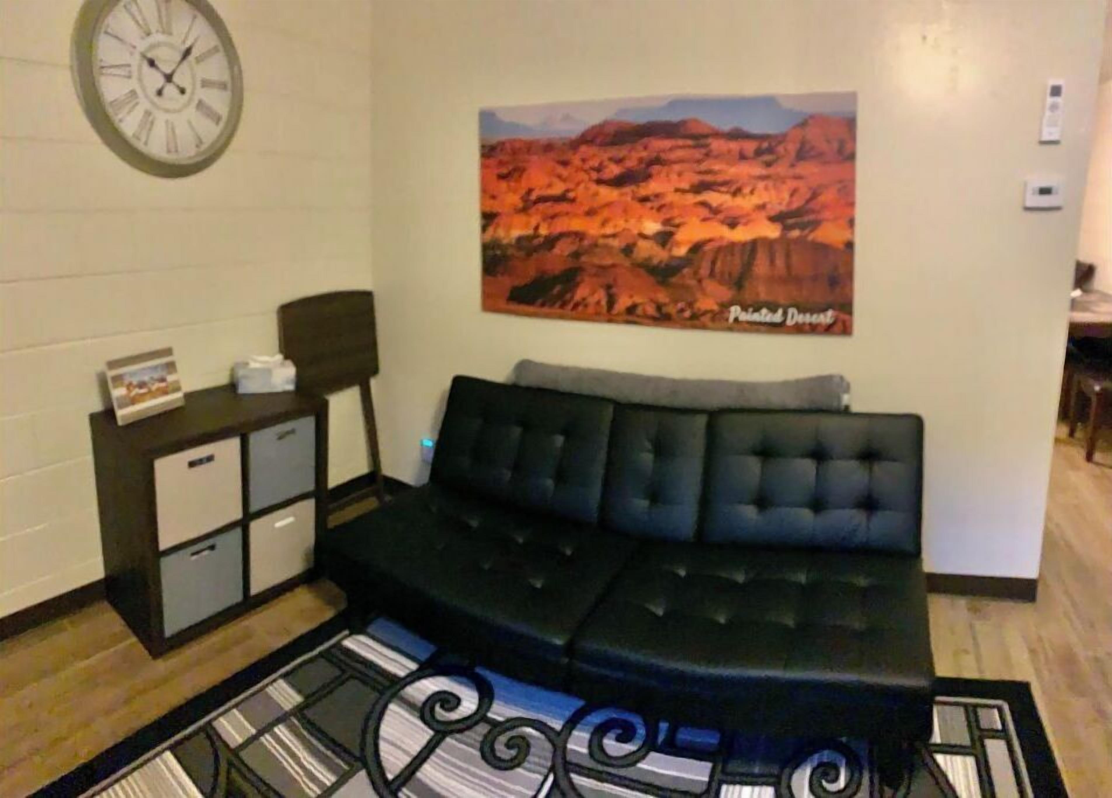 Smart TV, fireplace, DVD player, books