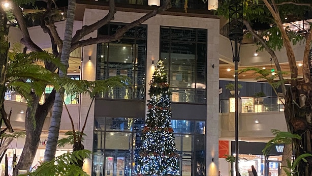 Un edificio moderno con fachada de vidrio, rodeado de exuberante vegetación y un árbol de Navidad decorado.