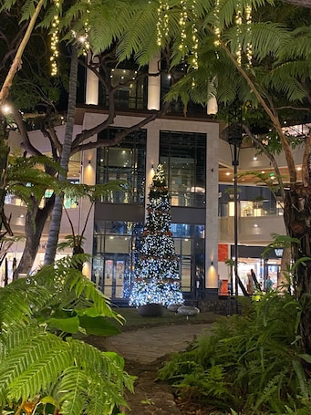 A modern building with a glass facade, surrounded by lush greenery and a decorated Christmas tree.