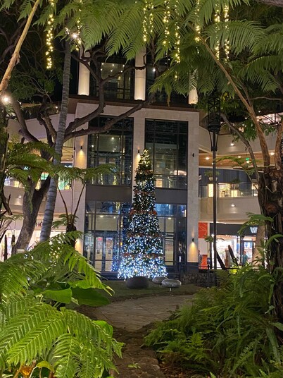 Lovely Studio with Million Dollar View of Waikiki and close to everything!