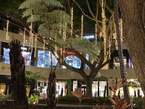 Lovely Studio with Million Dollar View of Waikiki and close to everything!