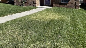 A two-story brick house with a front door, two windows, and a small front yard. - McKinley House Prime - Patio, Pool and Garage (Amarillo)
