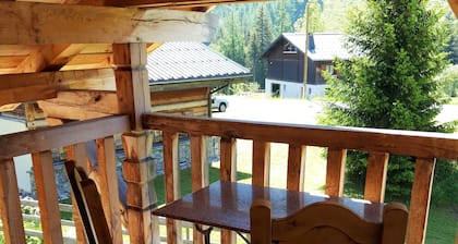 Chalet 2-3 pers., balcony, parking lot, ski lift 1.5km, bus 50m, train ski areas 850m