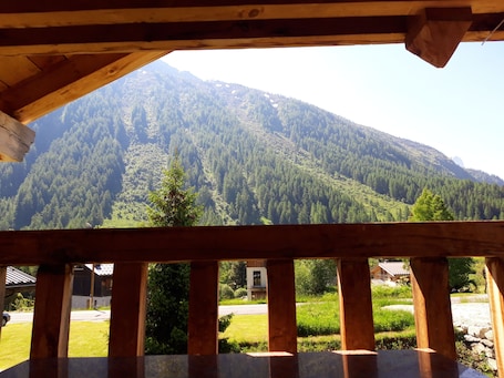 Property grounds. Chalet 2-3 pers., balcony, parking lot, ski lift 1.5km, bus 50m, train ski areas 850m