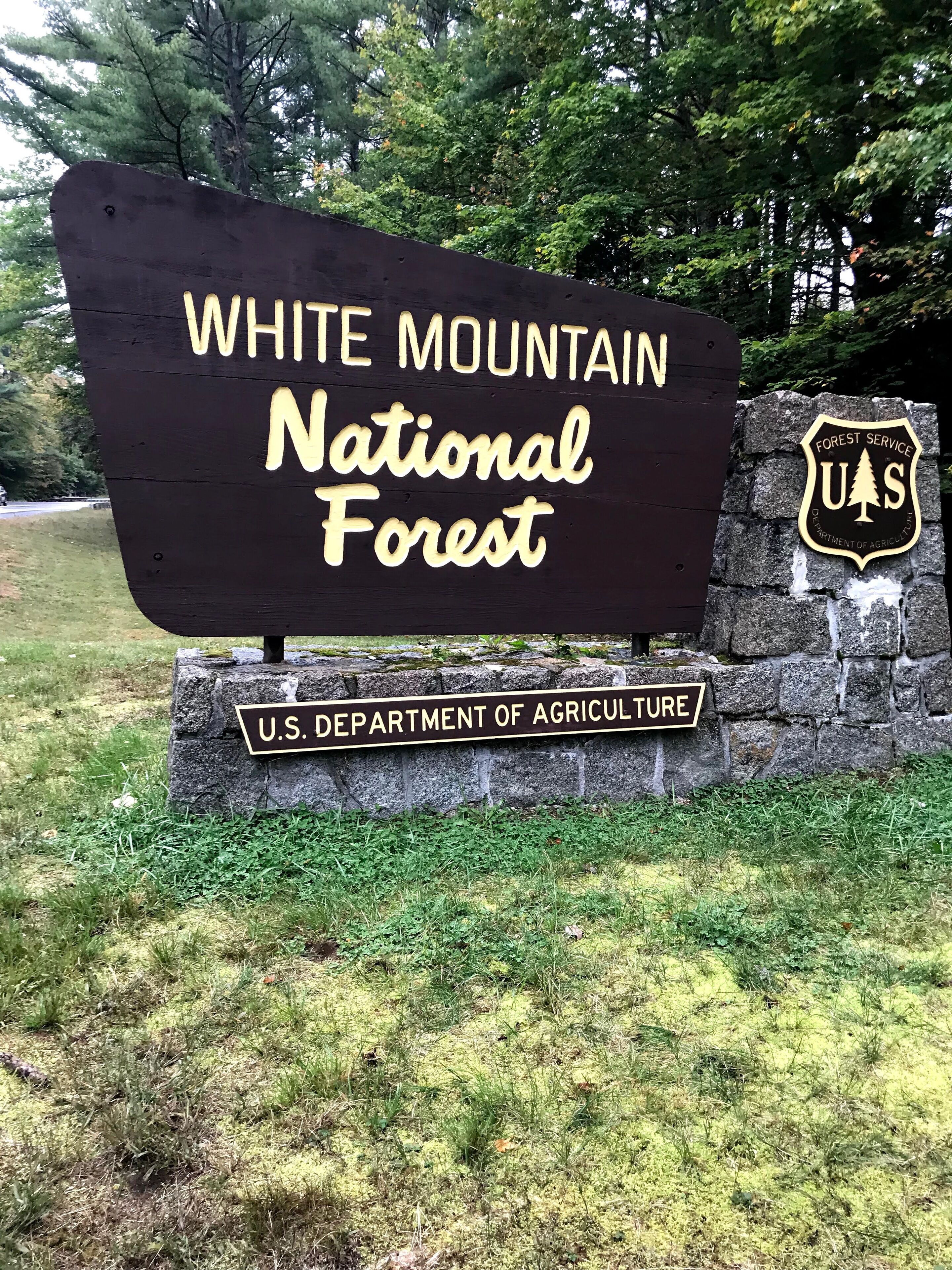 Condo is 5 1/2 miles into White Mt Natl Forest 