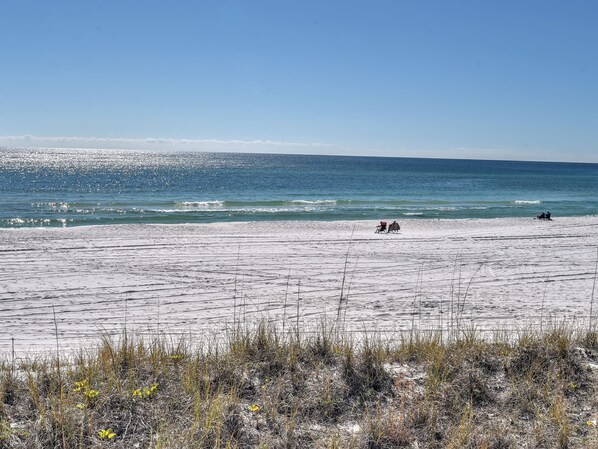 Beach nearby, sun-loungers