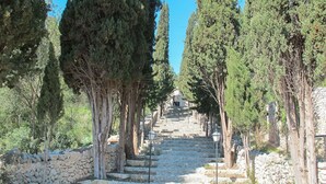 Un sentier de pierres, bordé de grands arbres, mène à une construction en pierre dotée d’un escalier.