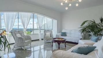 Una televisión, una chimenea