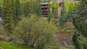 Un chalet à étages, entouré d’une forêt dense et bordé par une rivière.