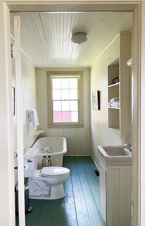Combined shower/tub, hair dryer, towels, soap - Exceptionally beautiful and spacious country home (Buskirk)