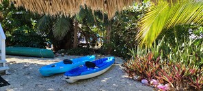 Property grounds - 200ft of Waterfront with Tiki & Heated Pool - Boaters Paradise  (Key Largo)