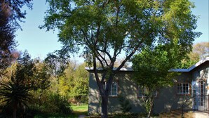 A house with a large tree in front, a well-maintained lawn, and a clear sky. - Bushwillow Spacious cottage for 2 people with private garden access! (Gauteng)