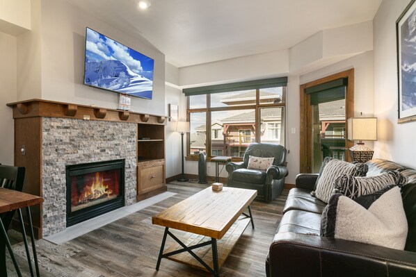 TV, fireplace, DVD player