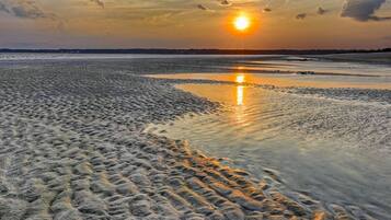 Serviettes de plage