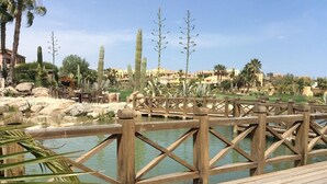 Un puente de madera sobre un cuerpo de agua, con cactus y palmeras al fondo.