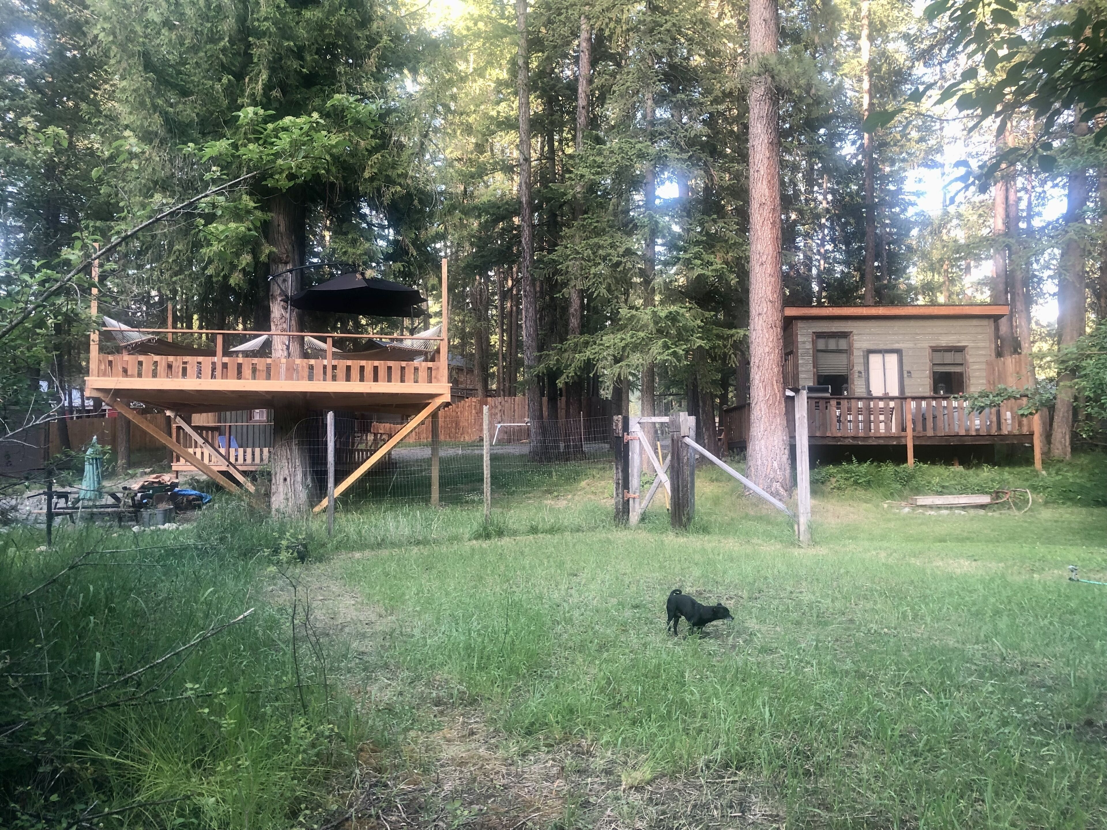 Top 10 Cheap Cabin Rentals In Montana, USA Updated 2024 Trip101