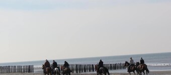 Studio in Domburg near Beach and Golf