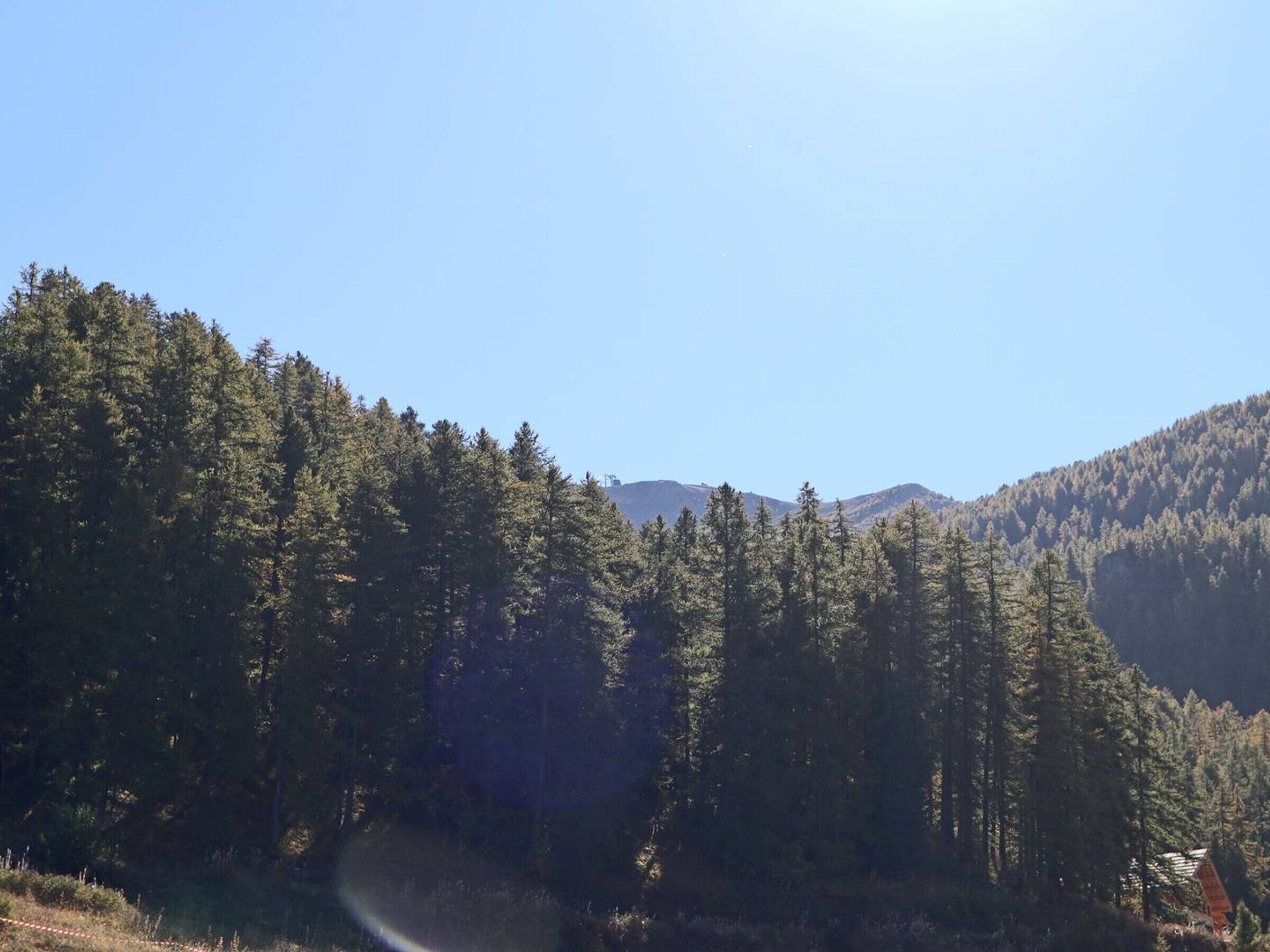 Eine bewaldete Berglandschaft mit blauem Himmel.