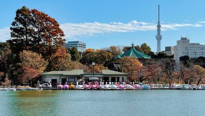 Vista sul lago con una fila di barche colorate, un edificio tradizionale con tetto verde e una torre moderna sullo sfondo.