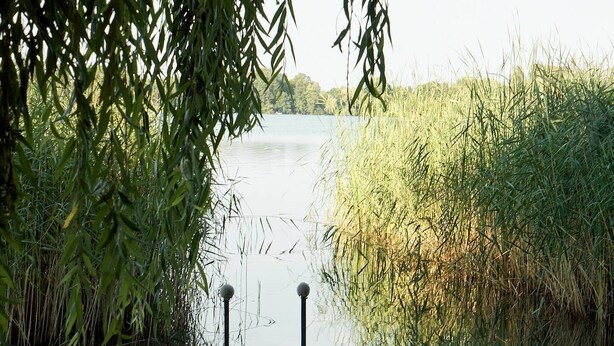 A wooden dock leading to a calm lake, surrounded by dense reeds and trees. - Loungehotel Seeterrassen Wandlitzsee (Wandlitz)