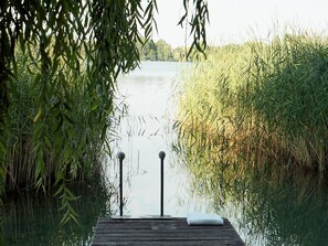 A wooden dock leading to a calm lake, surrounded by dense reeds and trees. - Loungehotel Seeterrassen Wandlitzsee (Wandlitz)