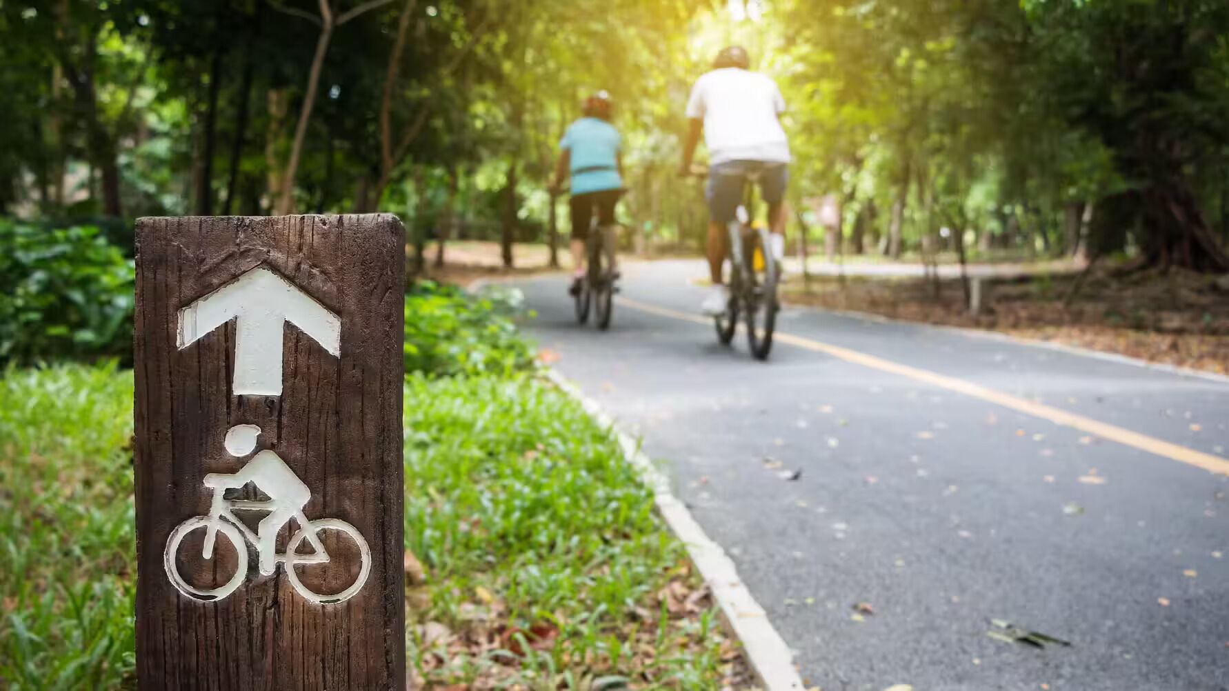 A wooden signpost with a bicycle symbol and an arrow pointing straight ahead, indicating a bike path.