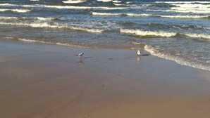 Une plage avec des vagues et deux oiseaux sur le sable.