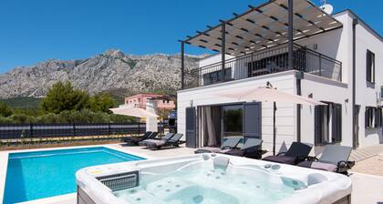 Holiday Villa Olive Tree