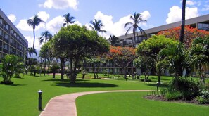 Stroll through the serene courtyard surrounded by lush greenery and palm trees.